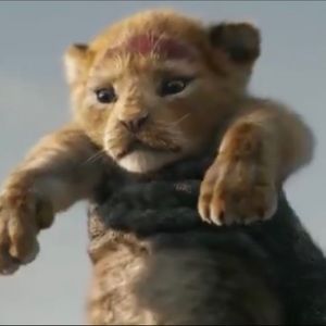 Meet your Posher, Bianxa